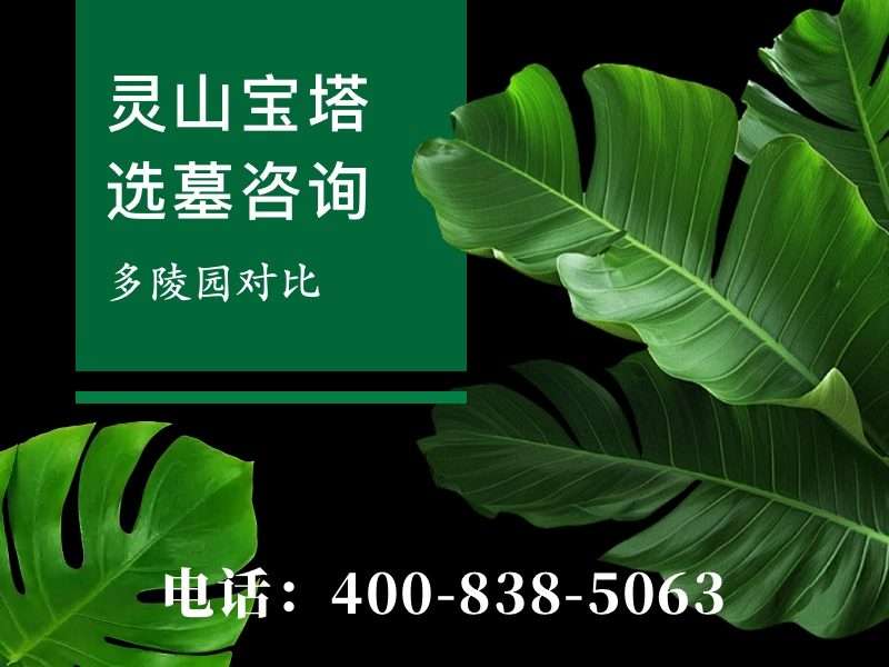 灵山宝塔陵园夏日蝉鸣中的一池碧水让人心静：探寻心灵的静谧之境